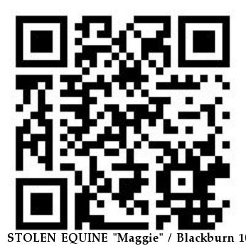 STOLEN EQUINE "Maggie" / Blackburn 10, Near Galena, MO, 65656